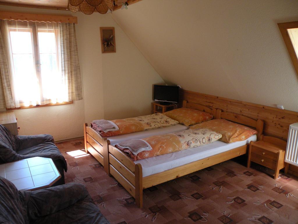 Hotel Lesni Dum Janske Lazne Room photo